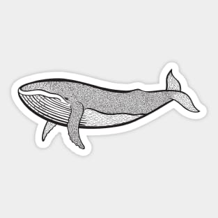 Humpback Whale Ink Art - light colors Sticker